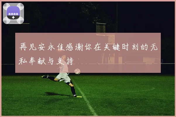 再见安永佳感谢你在关键时刻的无私奉献与支持