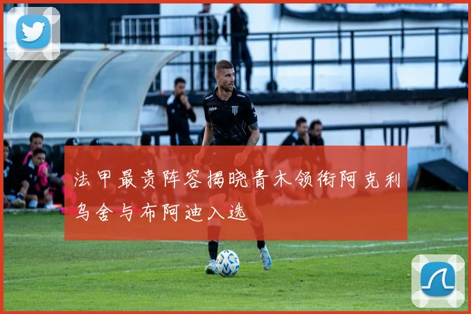 法甲最贵阵容揭晓青木领衔阿克利乌舍与布阿迪入选